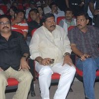 Jr NTR's Oosaravelli Audio Launch Gallery | Picture 77215